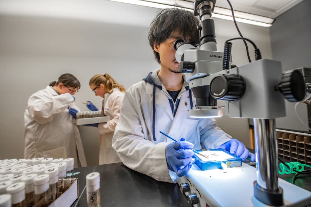 Life Sciences industry