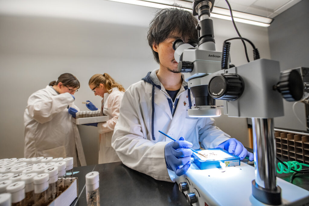 Life Sciences